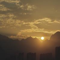 明珠老掌头像