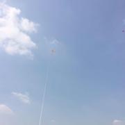 老陈散讲技术的个人资料头像