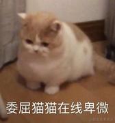 乐事原味薯片D的个人资料头像