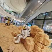 今天我依然是个碌碌无为的知食分子的个人资料头像