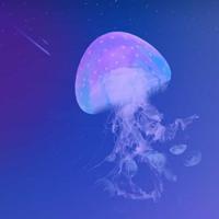 用户4962955830376头像