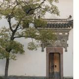 青云设计师头像