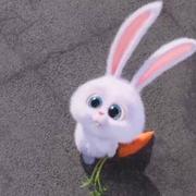 冥冥如月的个人资料头像