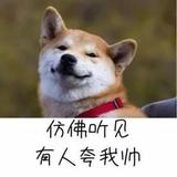 用户6379549291669头像