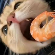 用户4560243674039的个人资料头像