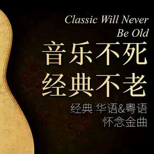 天雨音乐头像