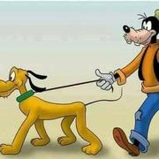 難得糊塗的个人资料头像