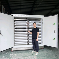 小朱分享烘干头像