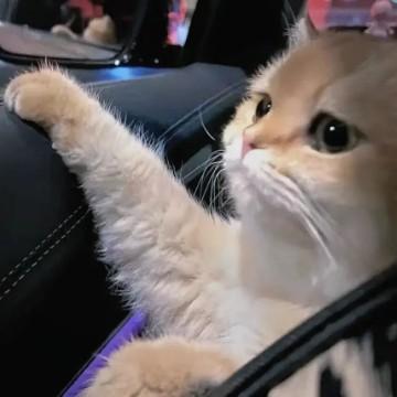 车轮上的梦想88头像