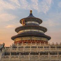 CZ勇敢的心头像