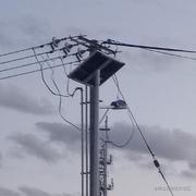 三号风的个人资料头像