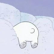 372129的个人资料头像