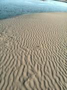 IT张工的学习笔记的个人资料头像