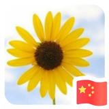 种花家的兔子x2头像