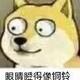 WH961头像