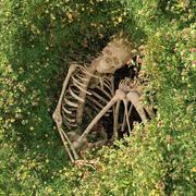 这波我站小朋友的个人资料头像