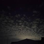 王国富368的个人资料头像