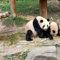知足常乐66495头像