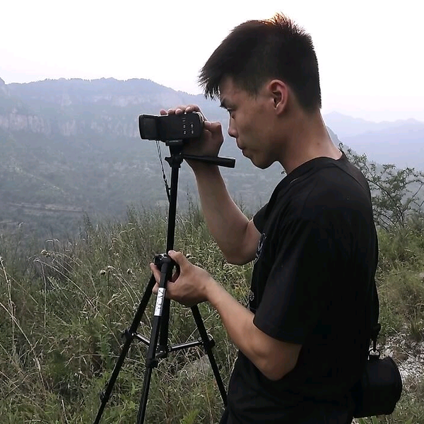 农村阿凯14号早9点等蜂蜜头像