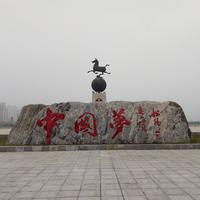 AA专业防水堵漏300头像