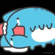 酷酷的拉的个人资料头像