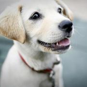 Amaaaa的个人资料头像