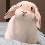 李莉莉的个人资料头像