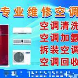 乐观的花猫rQL头像