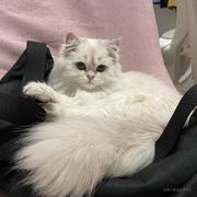 新手村小白的个人资料头像