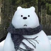 悠闲孔雀3R9头像