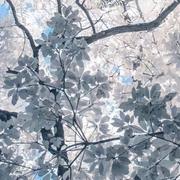 sooya的个人资料头像