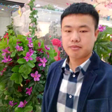 xiao崔说事头像