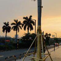 活泼轮船Ua头像