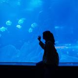 陈二白shiro头像