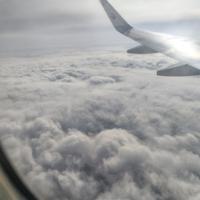 蹦起来扇你xx头像