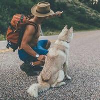 用户3585392566821头像