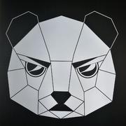 Ciro的个人资料头像