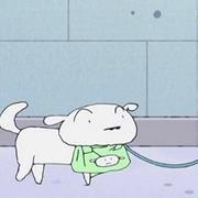 Shaw66的个人资料头像