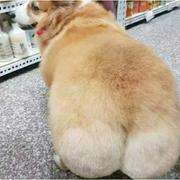 我吃饭全靠冥想的个人资料头像