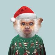 把耳朵叫醒的个人资料头像