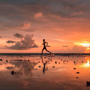 david2018的个人资料头像