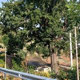 有钳任性258头像