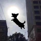 卡卡罗特007头像