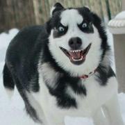 有梦想的靓仔的个人资料头像