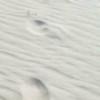 浮夸49099248头像