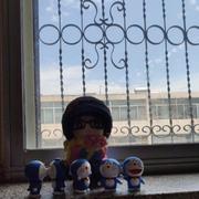 不学无术495的个人资料头像