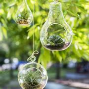 运气爆棚的小鹏的个人资料头像