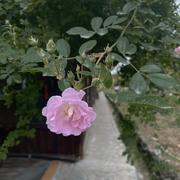 金风的个人资料头像