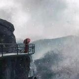 西飘记头像
