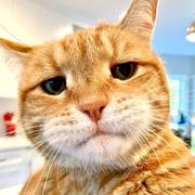 faxxicy的个人资料头像